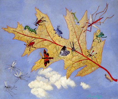 Höstlöv, 2009 (akryl) av Anna Pugh