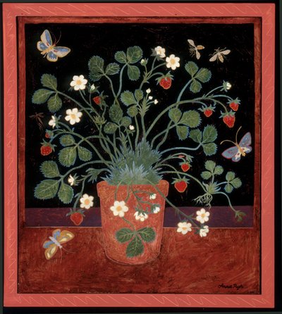 Jordgubbskrukan av Anna Pugh