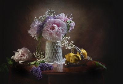  av Anna Qu