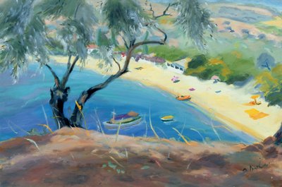 Achladies Bay, Skiathos, Grekland, 1985 av Anne Durham