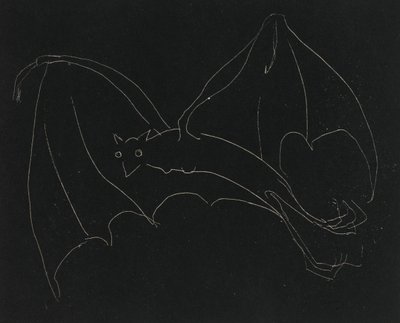Night Series: The Bat (etsning, vit linje på vävt papper) av Anne Goldthwaite