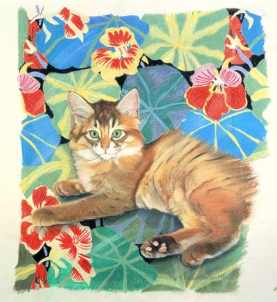 Sootsy och Dufy Fabric av Anne Robinson