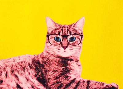 Livet i technicolor, 2017 av Anne Storno