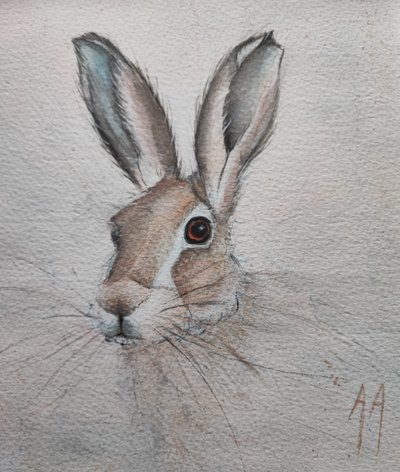 Porträtt av en mild hare av Annette Armitage