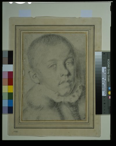 Porträtt av en ung pojke (svart krita och kol på papper) av Annibale (follower of) Carracci