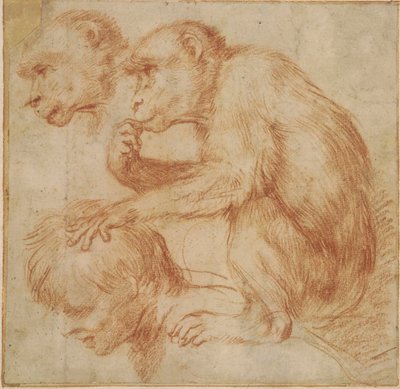 Carracci - En apa på en mans axlar i profil åt vänster och en studie av dess ansikte, studie till en målning Rödkrita, Ff,2.115 av Annibale Carracci
