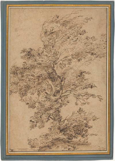 Studie av ett träd av Annibale Carracci