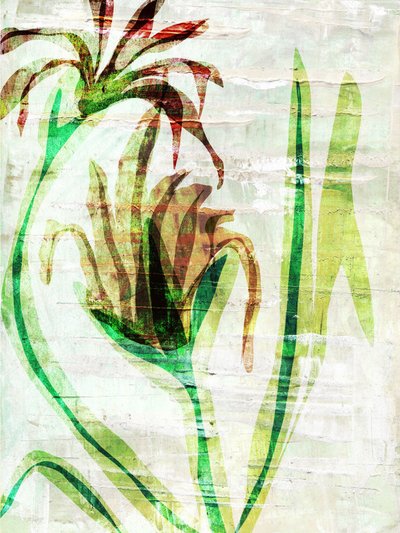 Blommor i flera lager i trädgården av Annick