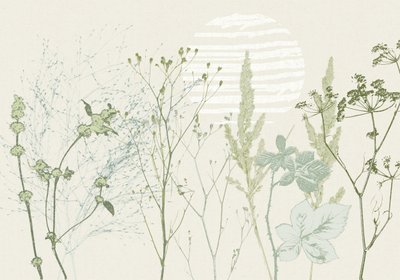 Dämpad botanisk soluppgång av Annick