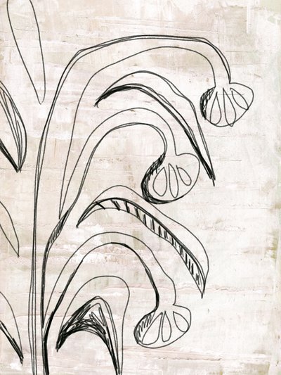 Organic Line Botanicals av Annick