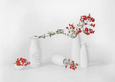 Minimalistisk uppställning med röda bär av Annie Poreider