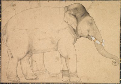 Teckning av en elefant av Anonym