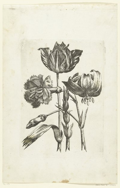 Anjer, tulp en lelie Nya blomikoner (serietitel) av Anonymous