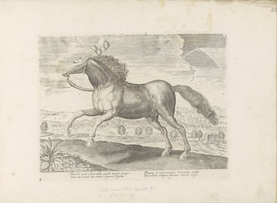 Arabisk paard Ta med (titel på objekt) Paardenrassen uit de Koninklijke stallen van Don Juan van Oostenrijk (serietitel) Hästen, där alla typer av adelsmän: beteendet hos hästar som skiljer sig från olika delar av världen utvalda (...) (serietitel på objek av Anonymous