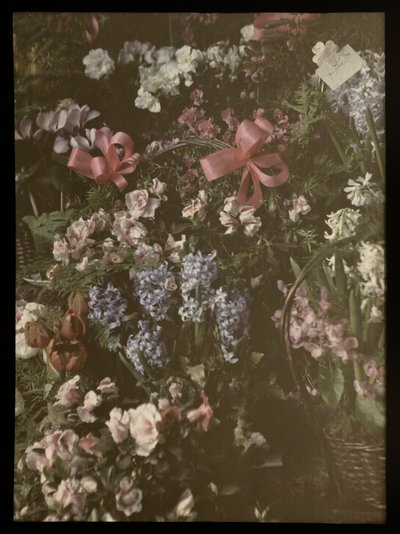 Klasar av blommor med rosett, korg och kort av Anonymous