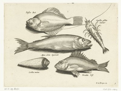 Flundra, räkor, smelt och pos Libelivs diverse Genera piscium complectens (serietitel) Sötvattensfisk, havsfisk, grodor, kräftdjur och havsdjur (serietitel) av Anonymous