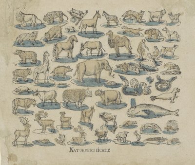 tjänare Natural History (titel på objekt) av Anonymous