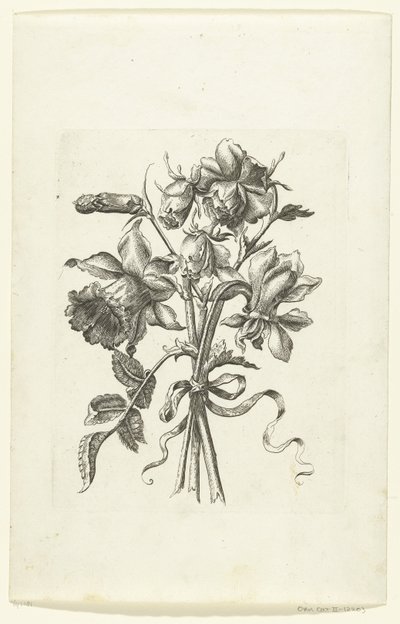 Tre blommor, inklusive en påsklilja och en nejlika Novae Florum Icones (serietitel) av Anonymous