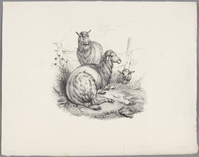 Tre får vid ett staket Sex små djurstudier (serietitel) Six Little Beast Studies (serietitel på objekt) av Anonymous