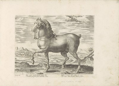 Duits paard Tysk häst (titel på objekt) Paardenrassen uit de Koninklijke stallen van Don Juan van Oostenrijk (serietitel) Hästen, där alla typer av adelsmän: beteendet hos hästar som skiljer sig från olika delar av världen utvalda (...) (serietitel på ob av Anonymous