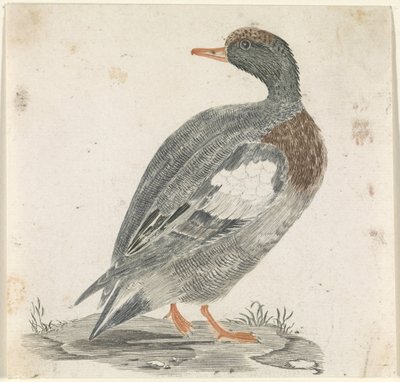 Ducka till höger, titta till vänster av Anonymous