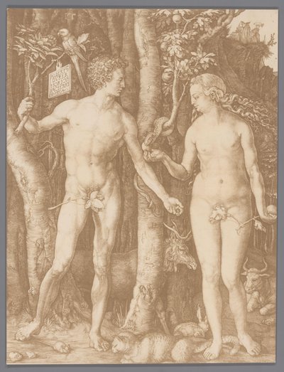 Fotoreproduktion av gravyren Adam och Eva av Albrecht Dürer av Anonymous