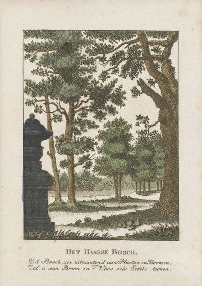 Haagskogen av Anonymous
