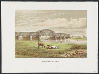 Hedelse järnvägsbro över Maas, 1870 Järnvägsbron vid Hedel (titel på objekt) Main Railway Bridges i Nederländerna (serietitel) av Anonymous