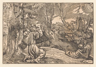 Saint Francis får stigmata av Anonymous