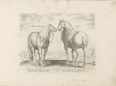 Hengst en merrie uit Rom Roman Matronal Horse (titel på objekt) Paardenrassen uit de Koninklijke stallen van Don Juan van Oostenrijk (serietitel) Hästen, där alla typer av adelsmän: beteendet hos hästar utvalda från olika delar av världen särskiljs ( av Anonymous