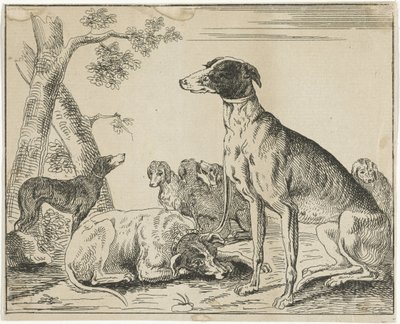hundkoja av Anonymous