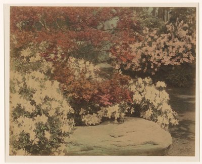 Japansk trädgård med blommor av Anonymous