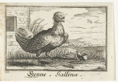 Kyckling med kyckling Henna, Gallina. (titel på objekt) av Anonymous