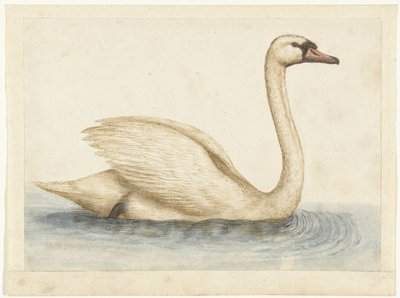 stumsvan Lombard album (serietitel) av Anonymous