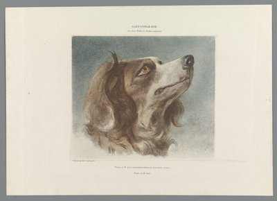 Huvudet på en hund av Anonymous
