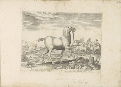 Kudde wilde paarden Barnhästkapplöpning (titel på objekt) Paardenrassen uit de Koninklijke stallen van Don Juan van Oostenrijk (serietitel) En häst, där alla typer av adelsmän: utvalda från olika delar av världen kännetecknas av hästarnas beteende (...) av Anonymous