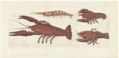 Langoustine, två kräftor och räkor Lombard album (serietitel) av Anonymous