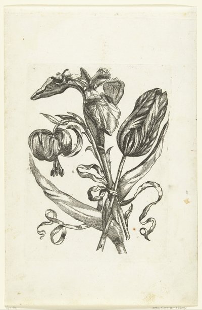 Lelie, iris och tulpan Nya blomikoner (serietitel) av Anonymous