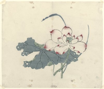Lotus av Anonymous