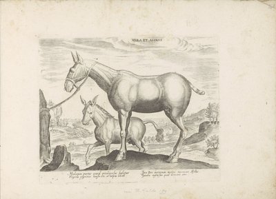 Mulezel och ezel Mule and Donkey (titel på objekt) Paardenrassen uit de Koninklijke stallen van Don Juan van Oostenrijk (serietitel) Hästen, där alla typer av adelsmän: beteendet hos hästar som skiljer sig från olika delar av världen utvalda (...) (serieti av Anonymous
