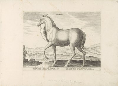 Paard uit Albanië Albanus (titel på objekt) Paardenrassen uit de Koninklijke stallen van Don Juan van Oostenrijk (serietitel) Hästen, där alla typer av adelsmän: beteendet hos hästar som skiljer sig från olika delar av världen utvalda (...) (serietitel på  av Anonymous