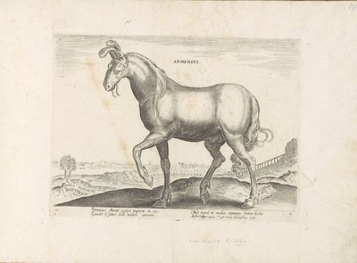 Paard uit Armenië Armenius (titel på objekt) Paardenrassen uit de Koninklijke stallen van Don Juan van Oostenrijk (serietitel) Hästen, där alla typer av adelsmän: beteendet hos hästar som skiljer sig från olika delar av världen utvalda (...) (serietitel på av Anonymous