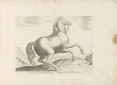Paard ut Frankrike Franska (titel på objekt) Paardenrassen uit de Koninklijke stallen van Don Juan van Oostenrijk (serietitel) Hästen, där alla typer av adelsmän: beteendet hos hästar som skiljer sig från olika delar av världen utvalda (...) (serietitel på av Anonymous