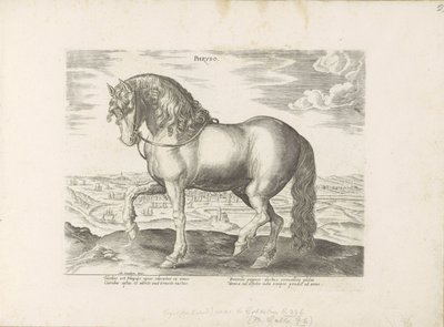 Paard ut Friesland Phryso (titel på objekt) Paardenrassen uit de Koninklijke stallen van Don Juan van Oostenrijk (serietitel) Hästen, där alla typer av adelsmän: beteendet hos hästar som skiljer sig från olika delar av världen utvalda (...) (serietitel på  av Anonymous