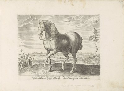 Paard uit Gelre Sicamber (titel på objekt) Paardenrassen uit de Koninklijke stallen van Don Juan van Oostenrijk (serietitel) Hästen, där alla typer av adelsmän: beteendet hos hästar som skiljer sig från olika delar av världen utvalda (...) (serietitel på o av Anonymous