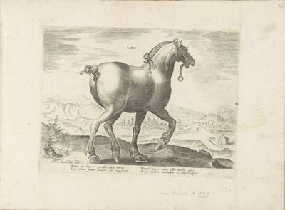 Paard uit Saksen Saxo (titel på objekt) Paardenrassen uit de Koninklijke stallen van Don Juan van Oostenrijk (serietitel) Hästen, där alla typer av adelsmän: beteendet hos hästar som skiljer sig från olika delar av världen utvalda (...) (serietitel på obje av Anonymous