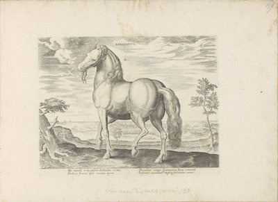 Paard från Sardinien Sardonicus (titel på objekt) Paardenrassen uit de Koninklijke stallen van Don Juan van Oostenrijk (serietitel) Hästen, där alla typer av adelsmän: beteendet hos hästar som skiljer sig från olika delar av världen utvalda (...) (serietit av Anonymous