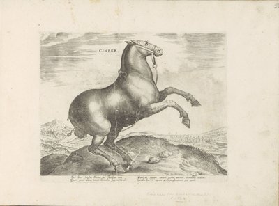 Paard uit Scythia Cimber (titel på objekt) Paardenrassen uit de Koninklijke stallen van Don Juan van Oostenrijk (serietitel) Hästen, där alla typer av adelsmän: beteendet hos hästar som skiljer sig från olika delar av världen utvalda (...) (serietitel på o av Anonymous