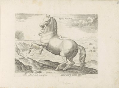 Paard ut Spanien Spansk häst (titel på objekt) Paardenrassen uit de Koninklijke stallen van Don Juan van Oostenrijk (serietitel) Hästen, där alla typer av adelsmän: sätten för hästar som skiljer sig från olika delar av världen utvalda (...) (serietitel av Anonymous