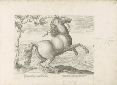 Paard uit Toscane Toscana (titel på objekt) Hästen, där alla typer av adelsmän: beteendet hos hästar som skiljer sig från olika delar av världen utvalda (...) (serietitel på objekt) av Anonymous